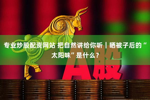 专业炒股配资网站 把自然讲给你听｜晒被子后的“太阳味”是什么？